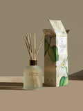 Difusor De Perfume Lenvie Patchouli 200ML