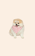 Bandana Pet Lua Lua Dupla Face Fur-Ever Love
