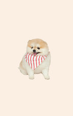 Bandana Pet Lua Lua Dupla Face Fur-Ever Love