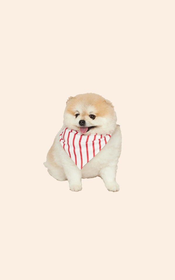 Bandana Pet Lua Lua Dupla Face Fur-Ever Love