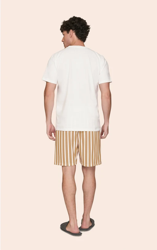 Pijama Curto Masculino Camiseta com Bolso e Shorts Listrado A Hidden Place - Imagem 2